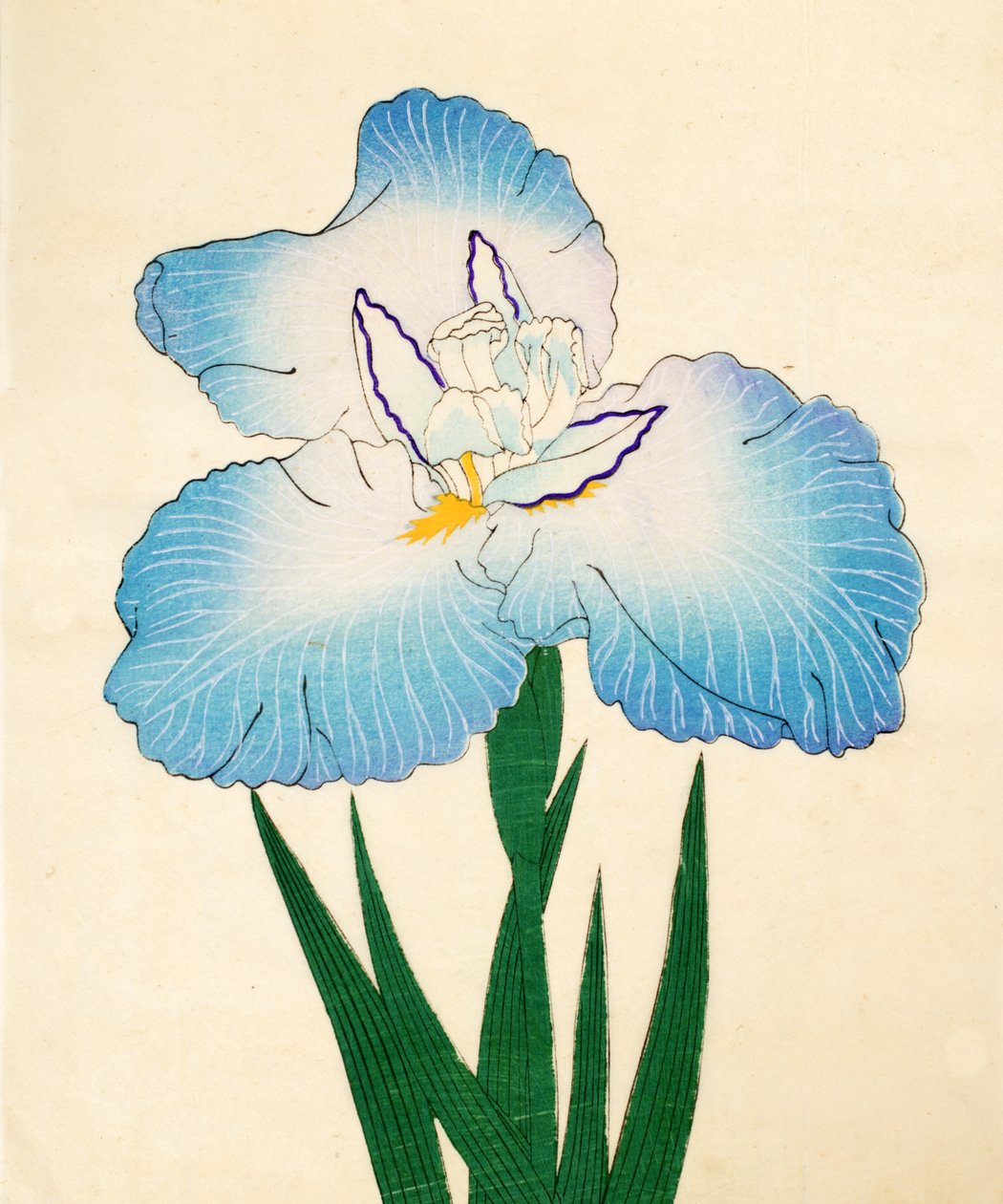 Irojiman, nº 80, 1890 (impressão em xilogravura a cores) de Japanese School