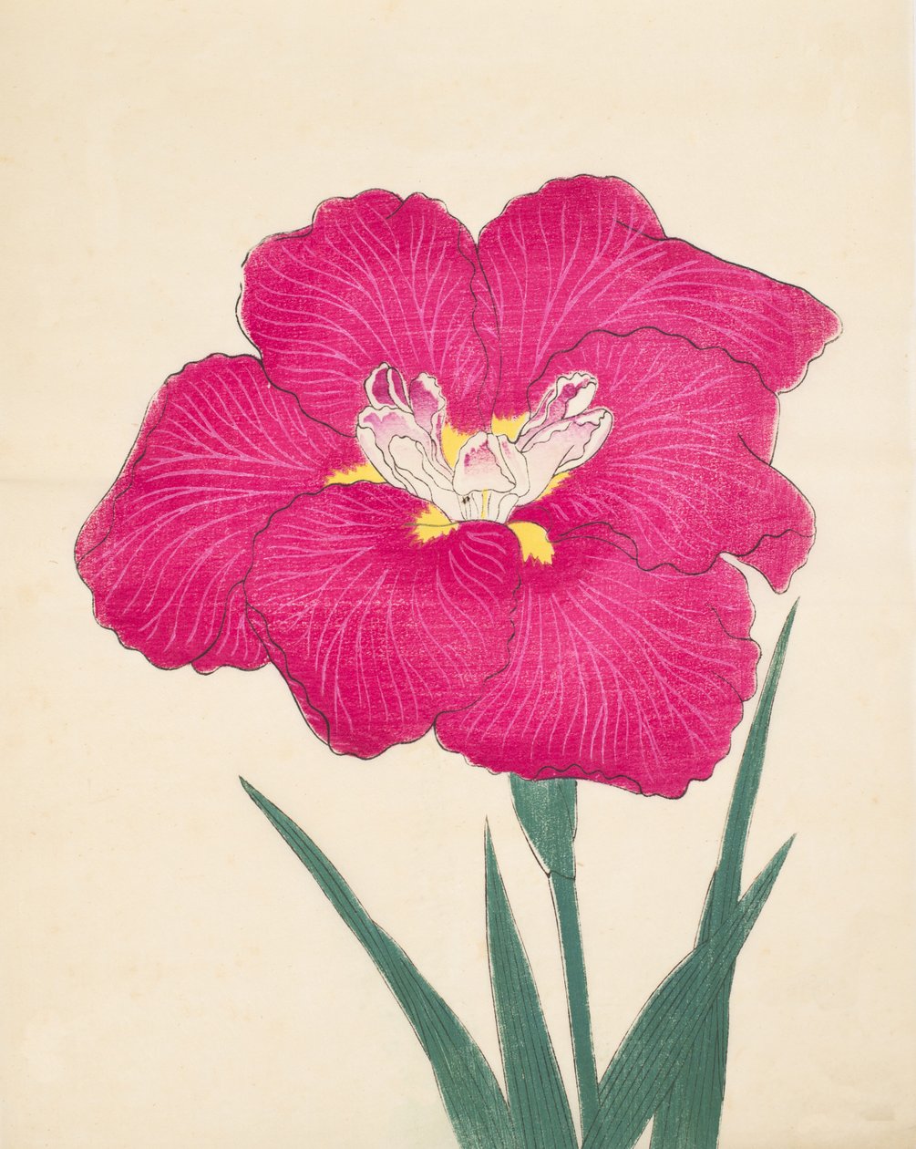 Kagari-Bi, nº 38, 1890 de Japanese School