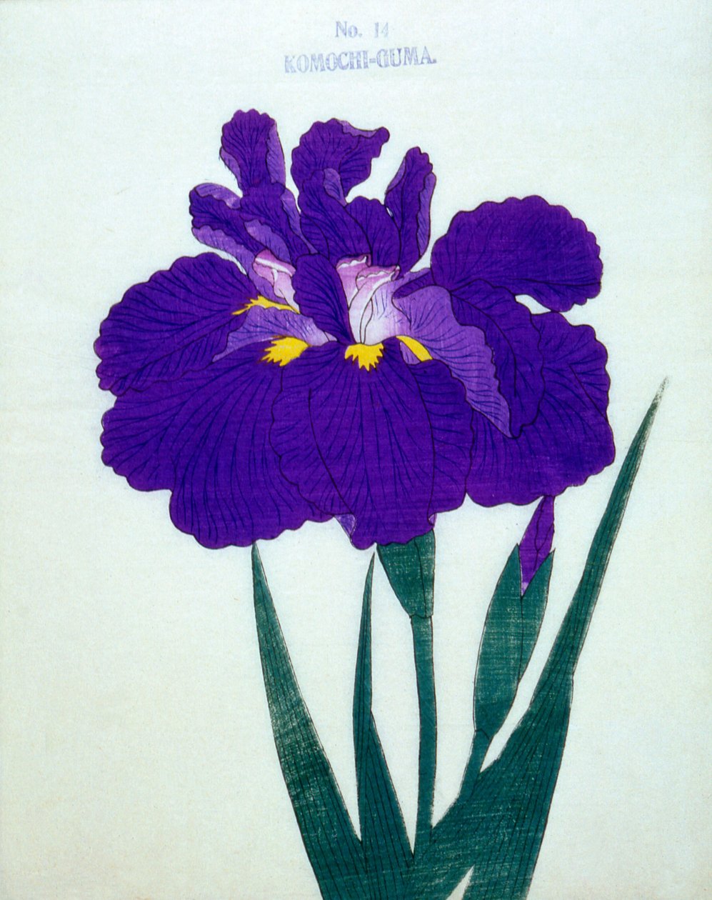 Komochi-Guma no.14, 1898 de Japanese School