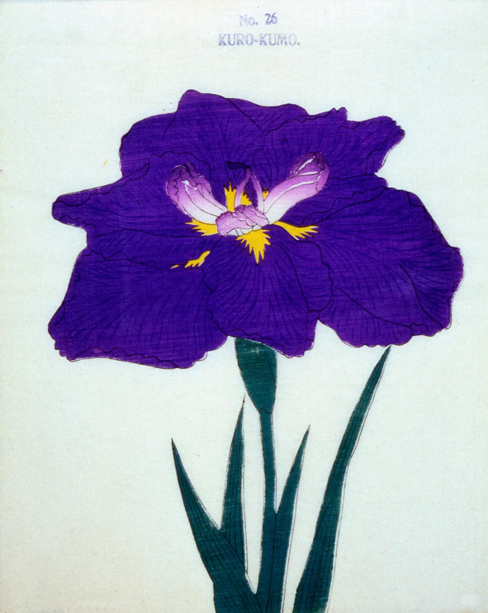 Kuro-Kumo, nº 26, 1898 de Japanese School