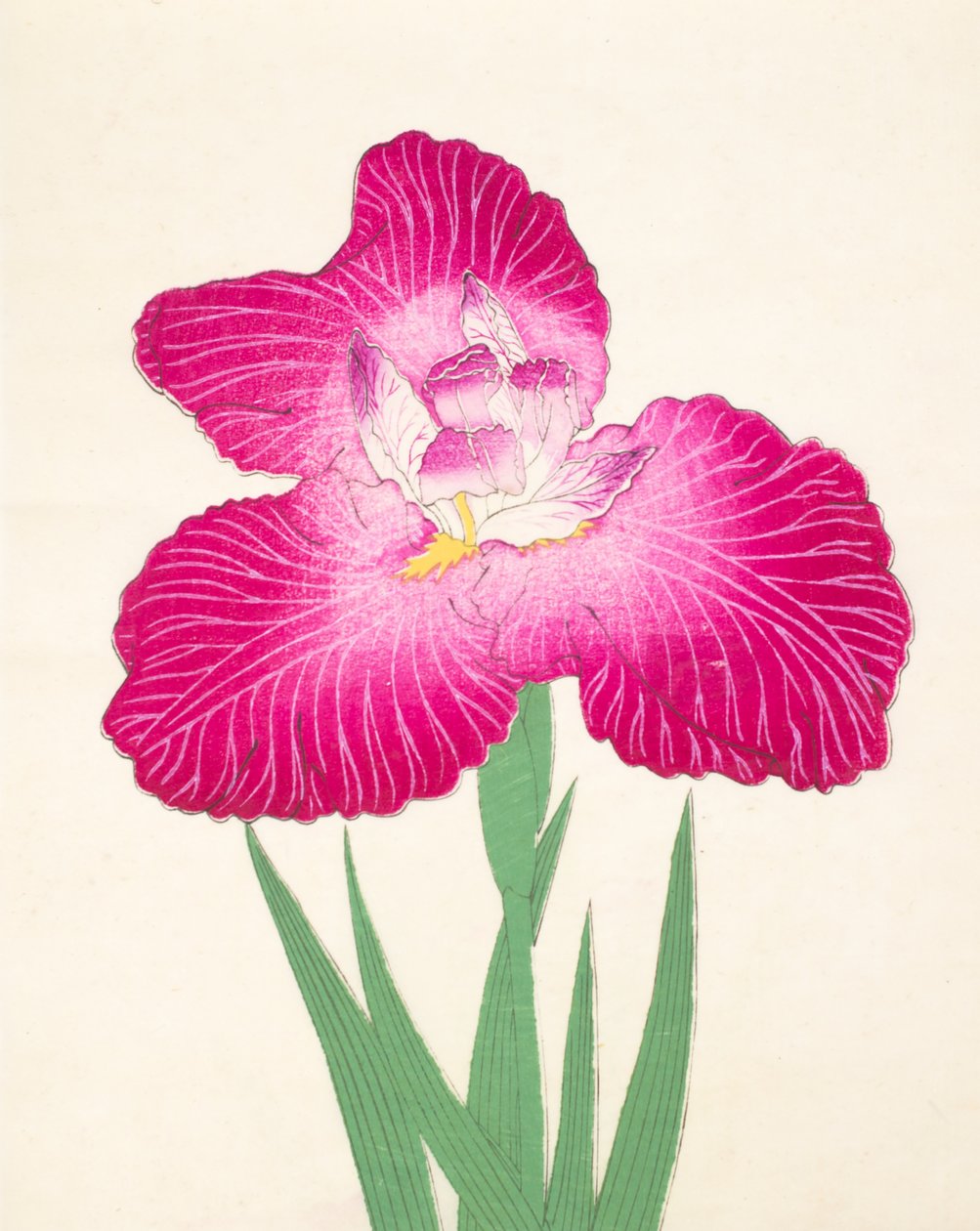 Kyo-Kano.ko, nº 24, 1898 de Japanese School