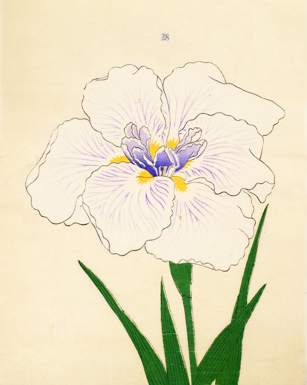 Manu-Zuru, nº 28, 1890 de Japanese School