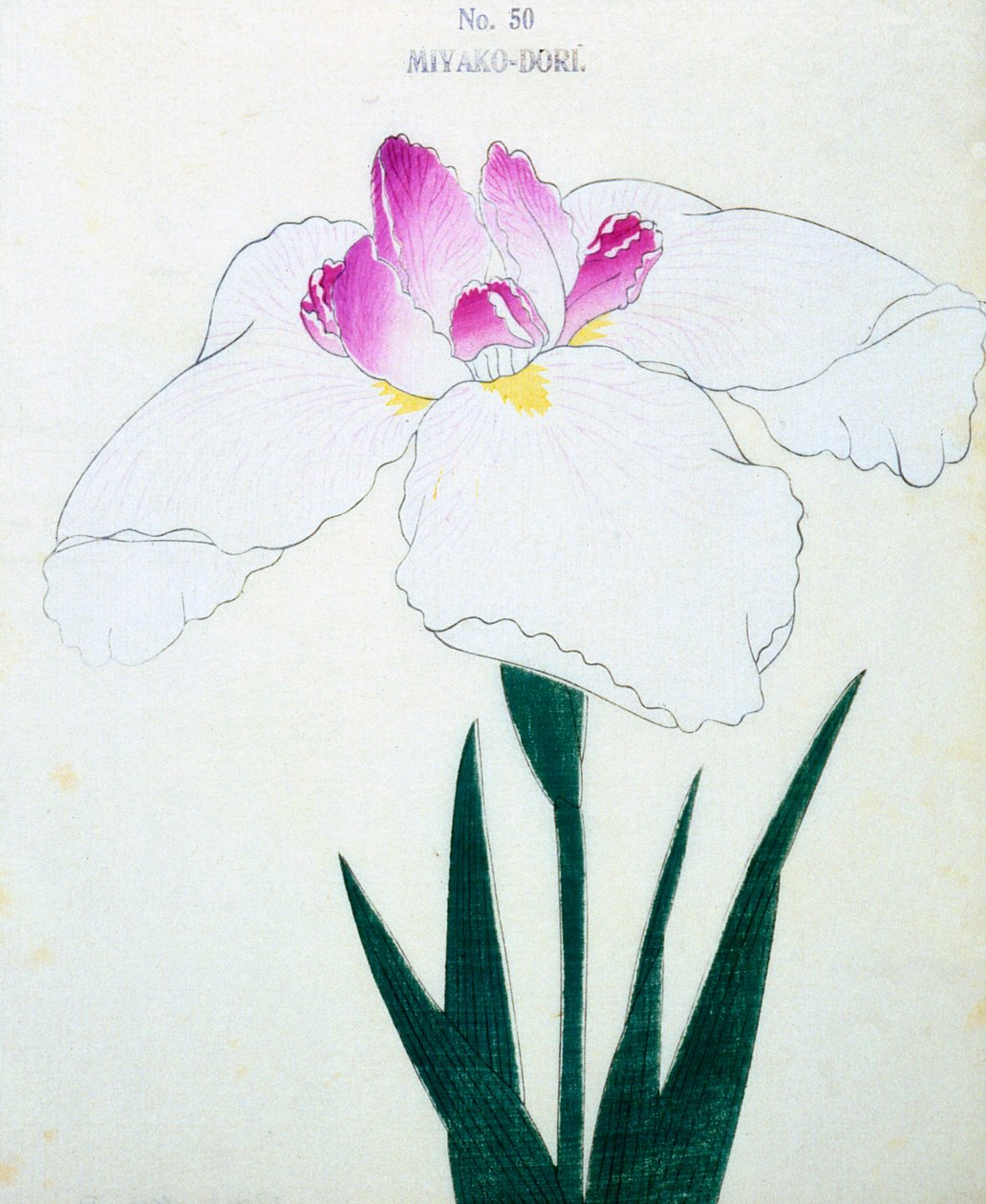 Miyako-Dore, nº 50, 1898 de Japanese School