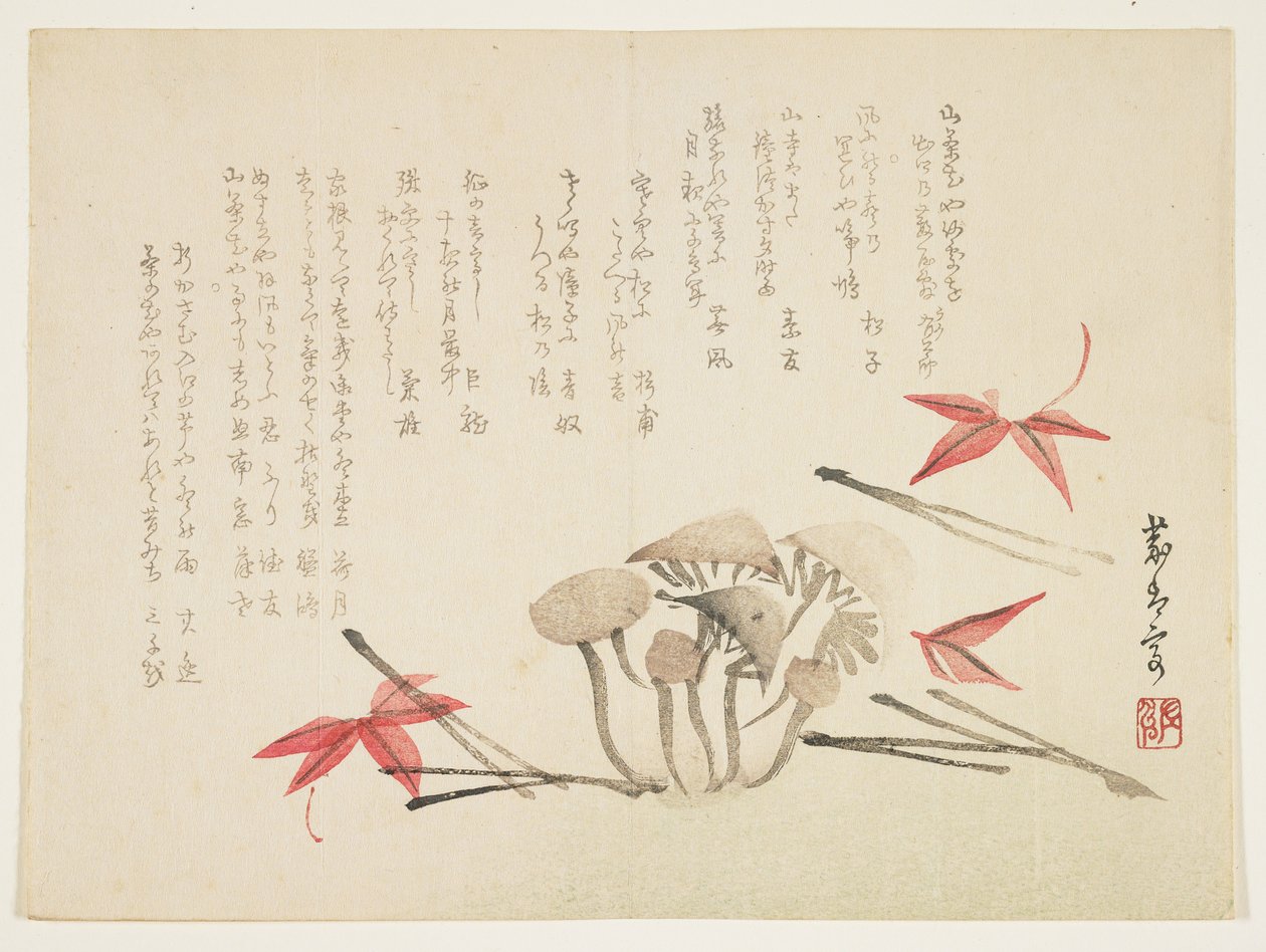 Cogumelos, folhas de plátano e agulhas de pinheiro (impressão em xilogravura a cores) de Japanese School