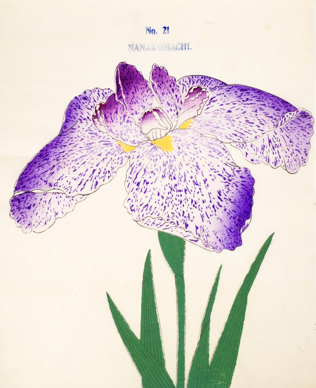 Nanakomachi, nº 21, 1898 de Japanese School
