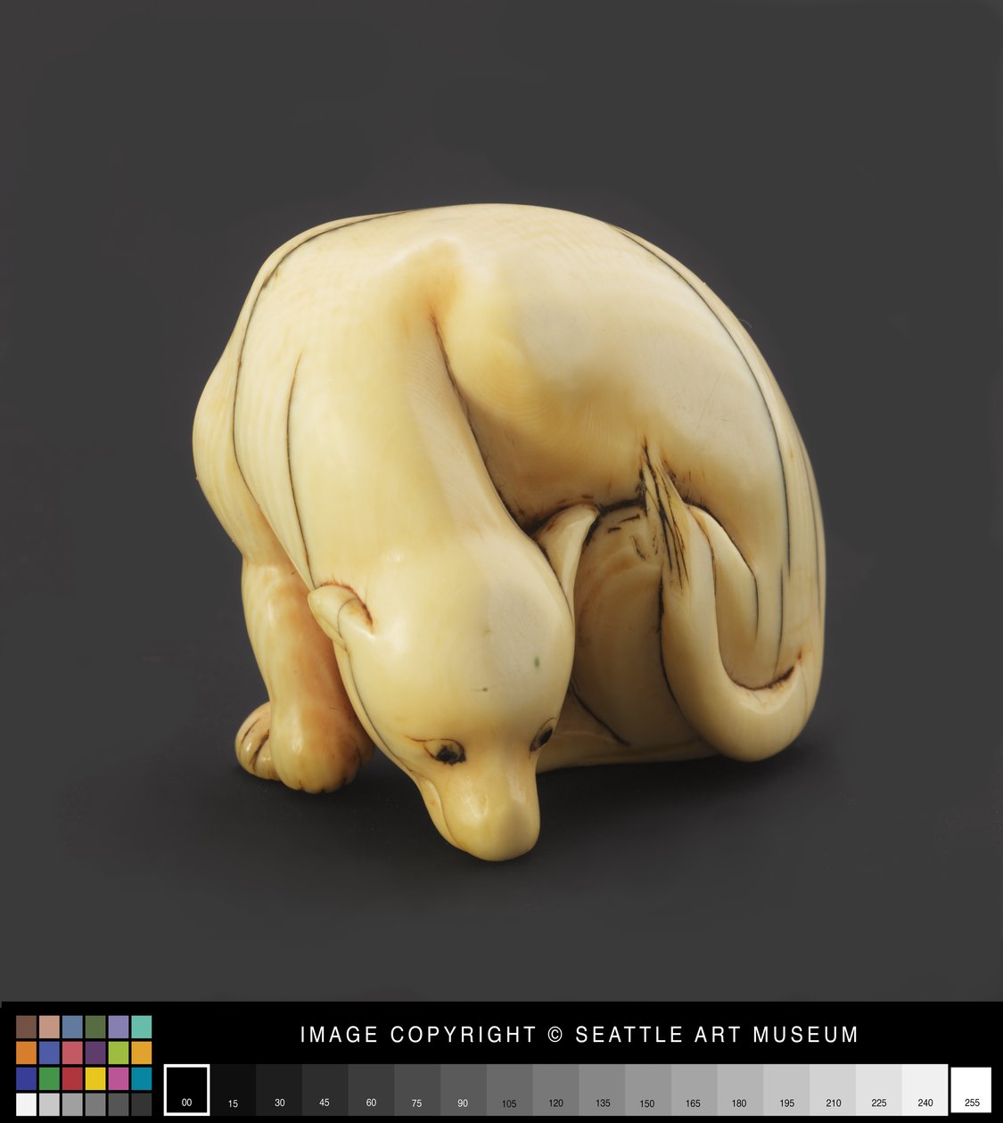 Netsuke modelado como um cão reclinado, início do século 19 (Marfim) de Japanese School
