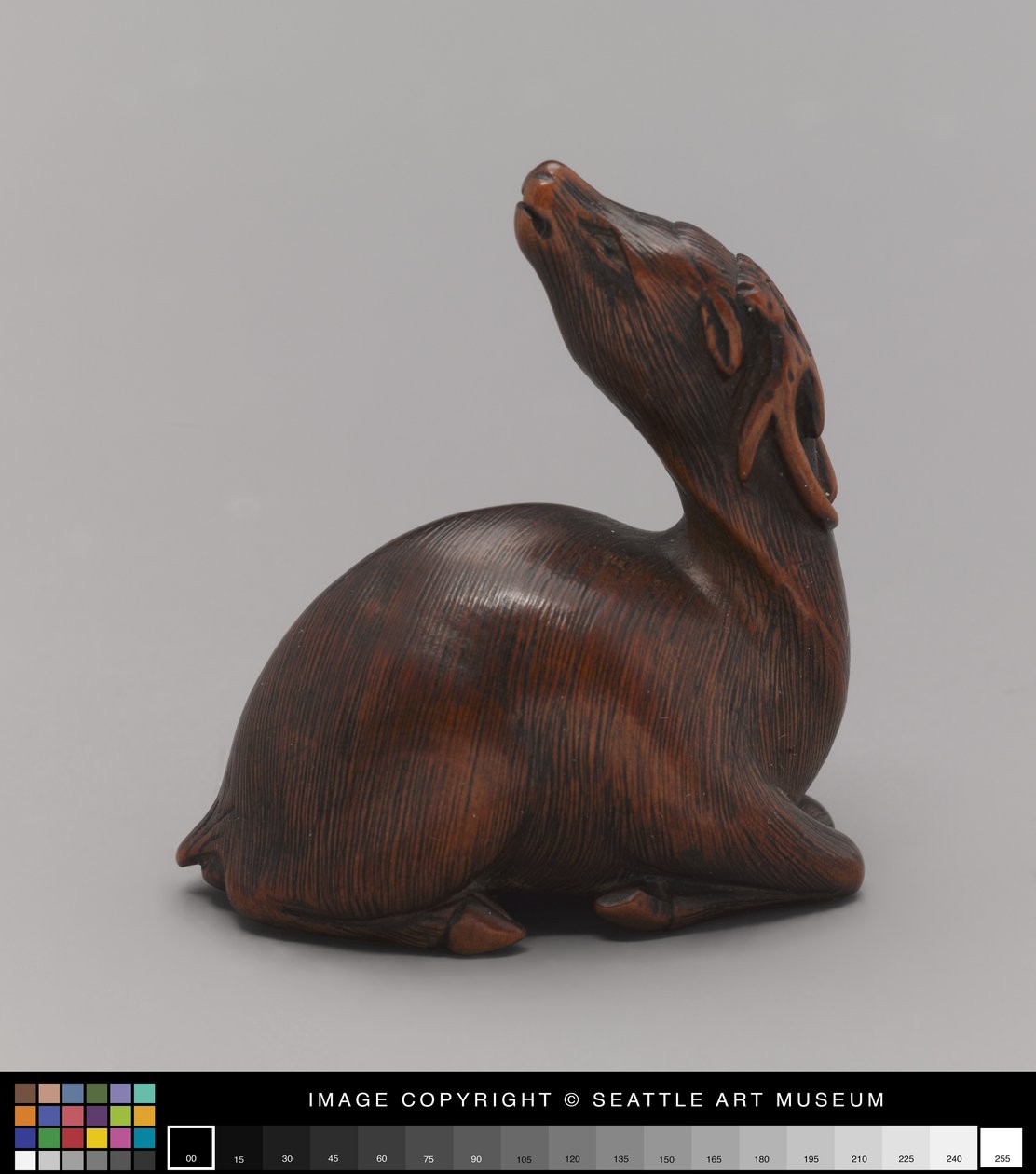 Netsuke modelado como cervo, meados do século 19 (Marfim) de Japanese School
