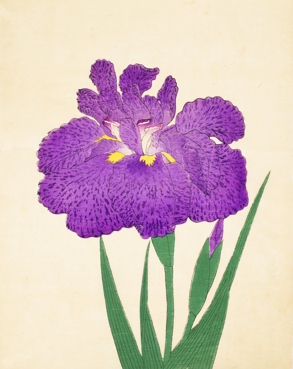 Nyo-Nishiki, nº 11, 1898 de Japanese School