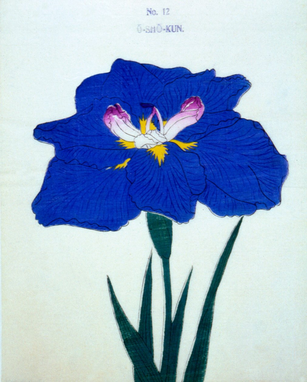 O-Sho-Kun, nº 12, 1898 de Japanese School