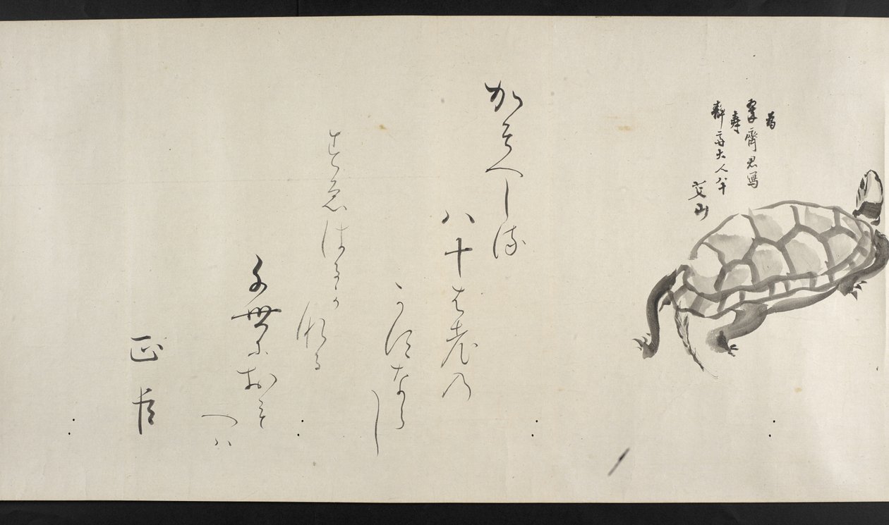 Ou. 14872, f.29, Uma tartaruga, de Yoshida Seisai (rolagem manual) de Japanese School