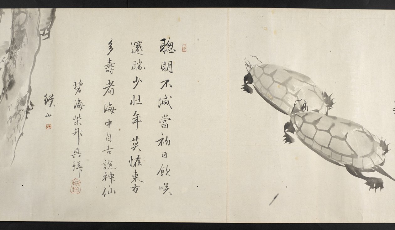 Ou. 14872, f.36, Duas tartarugas, de Yoshida Seisai (rolo de mão) de Japanese School