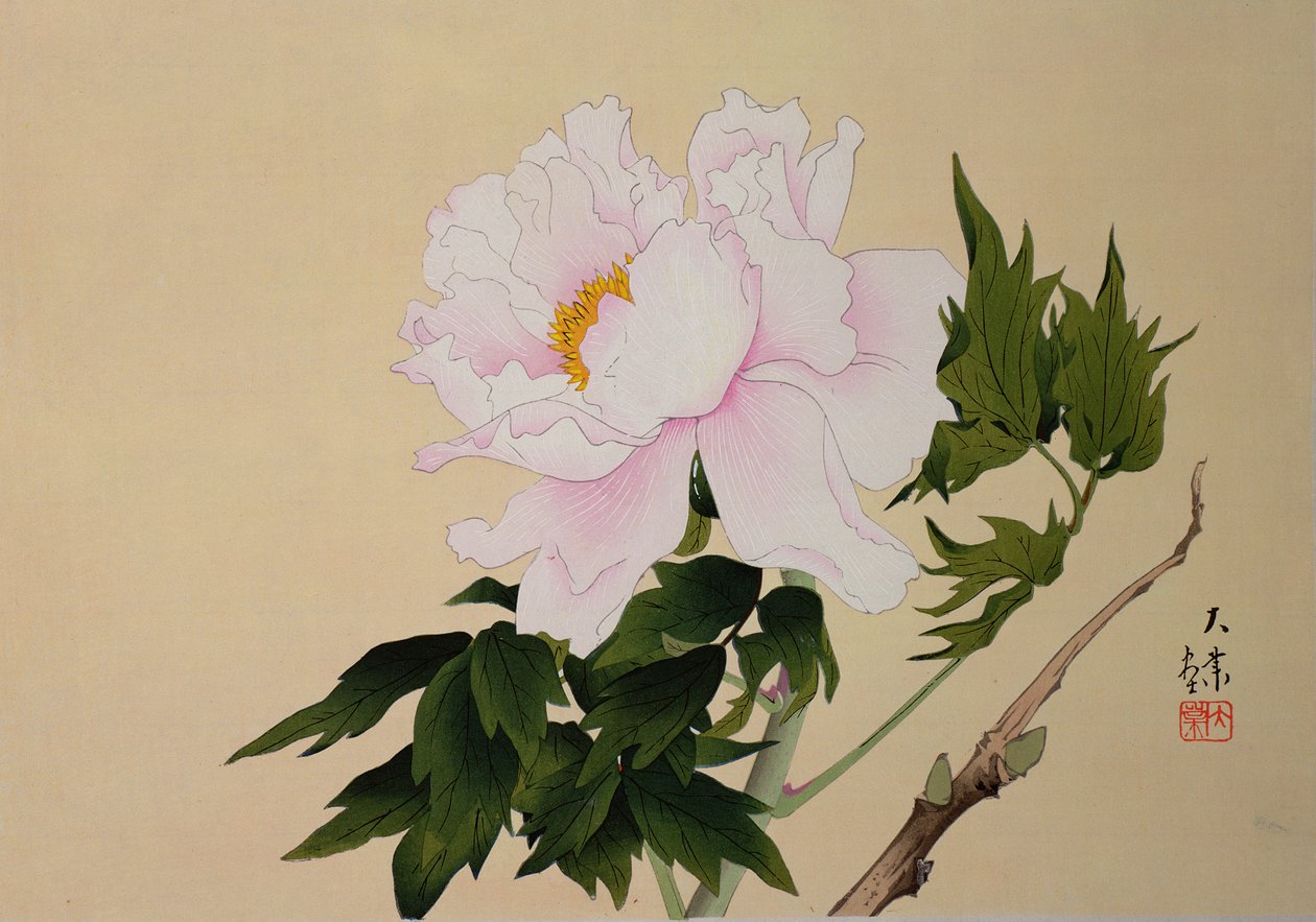 Peony, pub. 1950 de Japanese School