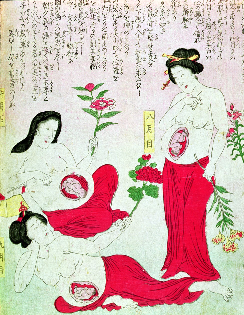 Mulheres grávidas, 1881 de Japanese School
