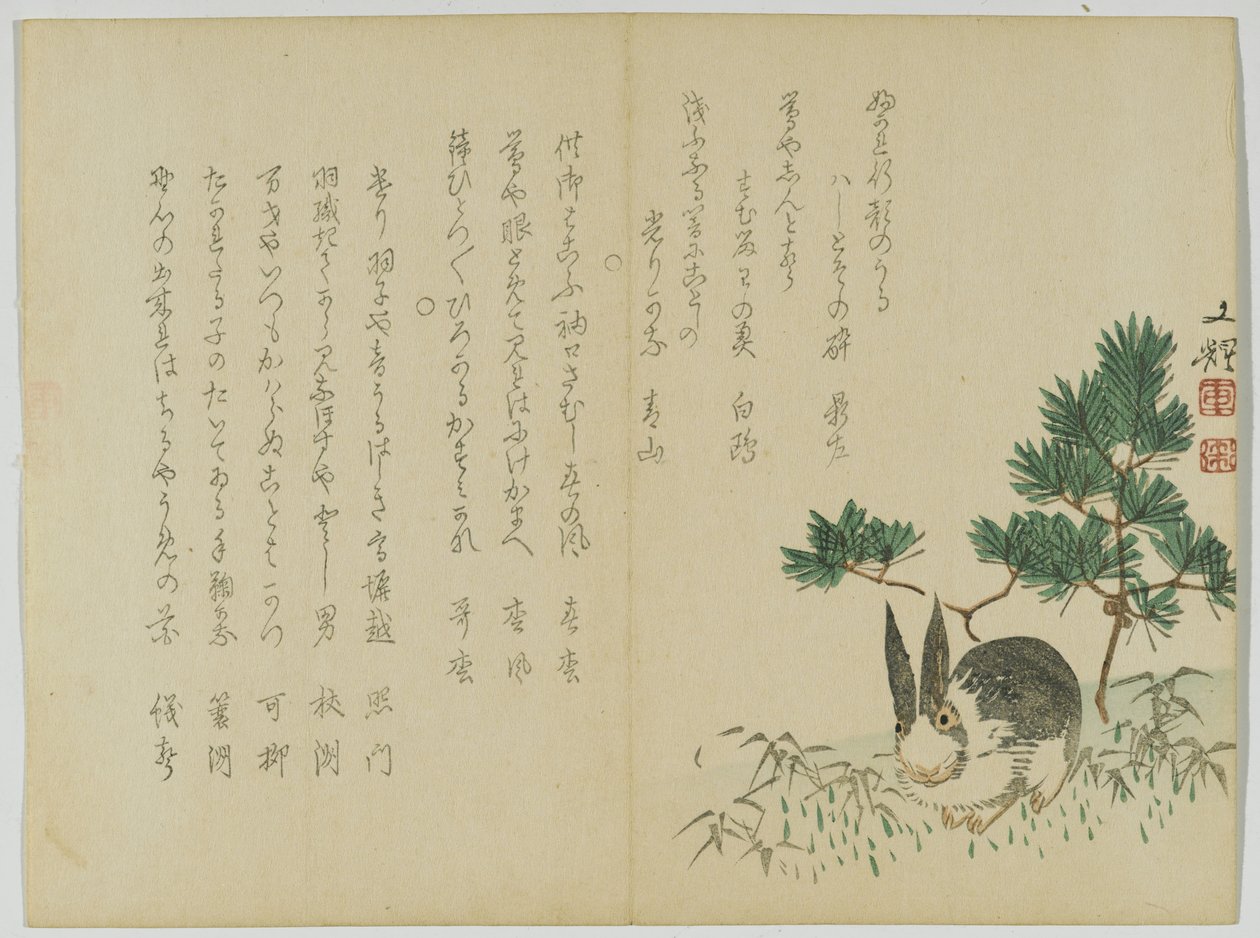 Coelho sob New Years Pine, c.1860 (xilogravura) de Japanese School