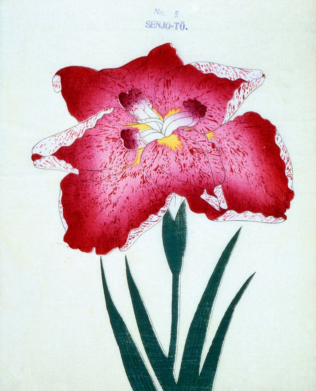 Senjo-Para, nº 5, 1898 de Japanese School