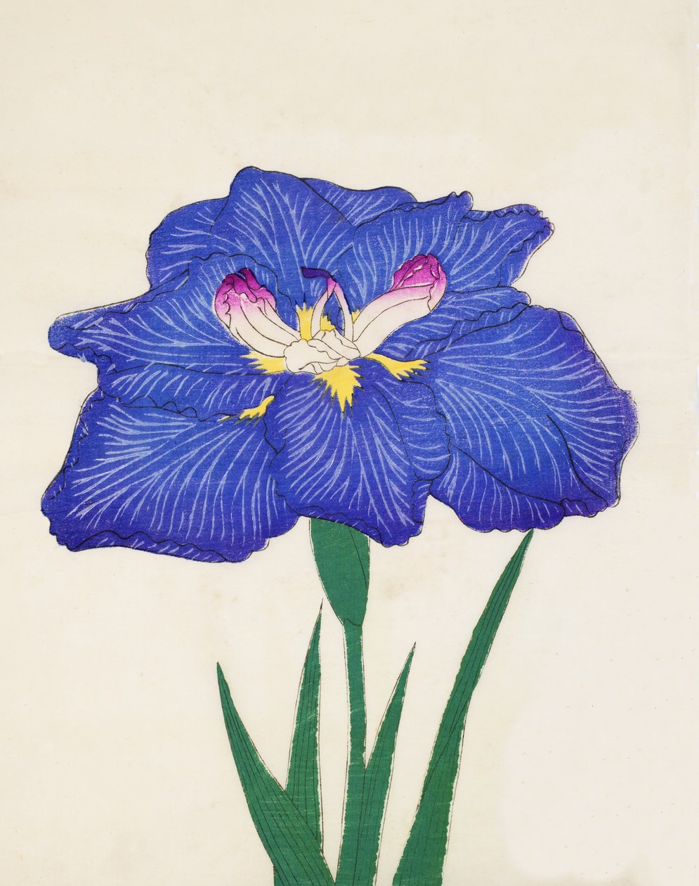 Shiga-no.-Uranami, nº 3, 1898 de Japanese School