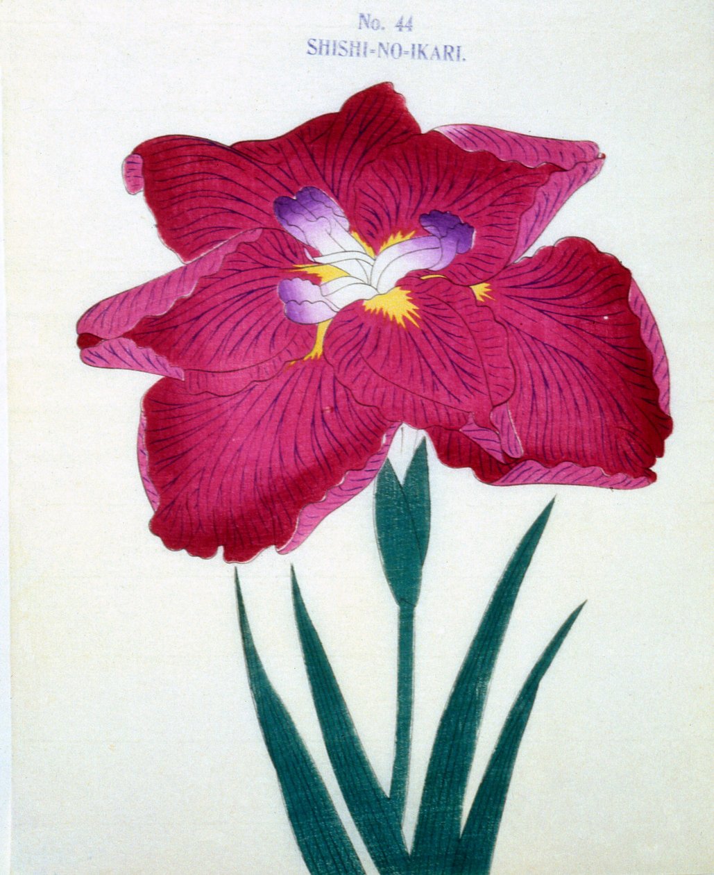 Shishi-no.-Ikari, no.44, 1898 de Japanese School