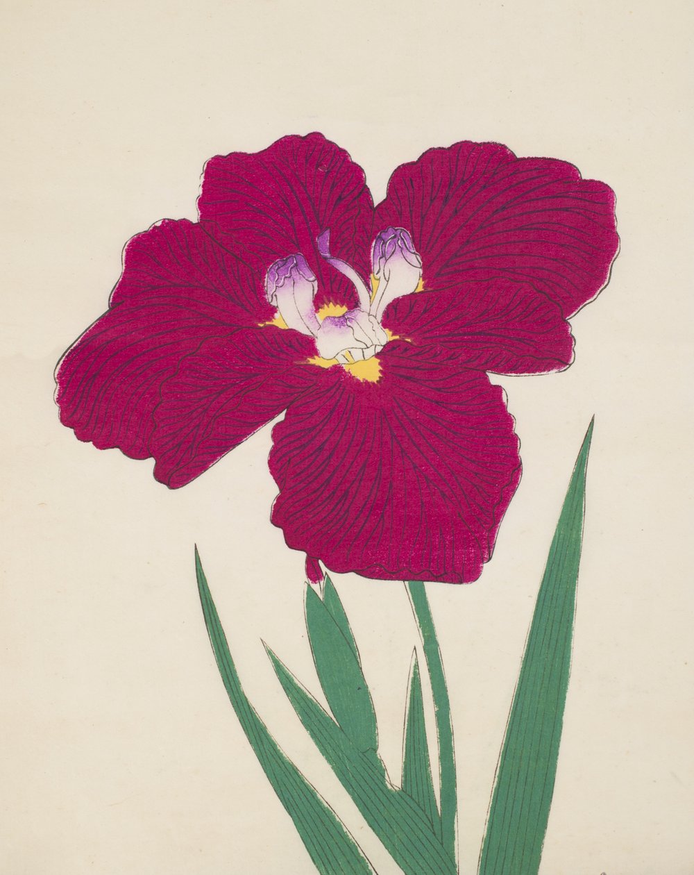 Tai-Hei-Raku, nº 18, 1890 (impressão em xilogravura a cores) de Japanese School