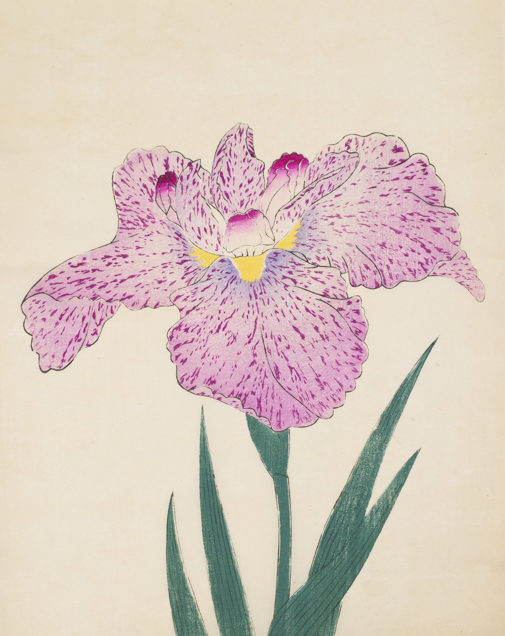 Tanka-No-Koe, nº 15, 1890 (impressão em xilogravura a cores) de Japanese School