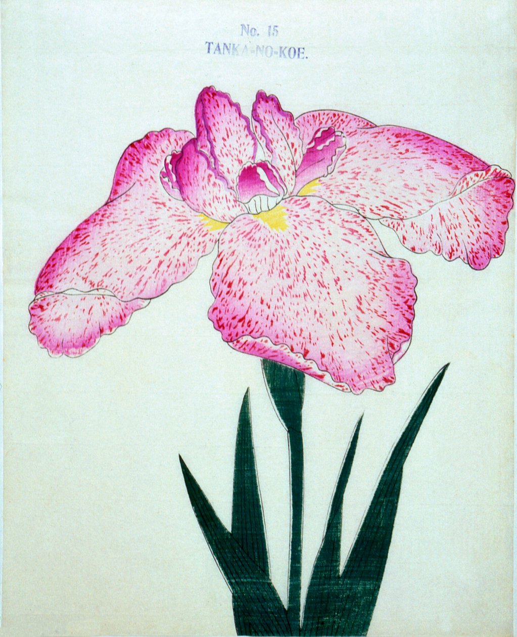 Tanka-no.-Koe, nº 15, 1898 de Japanese School