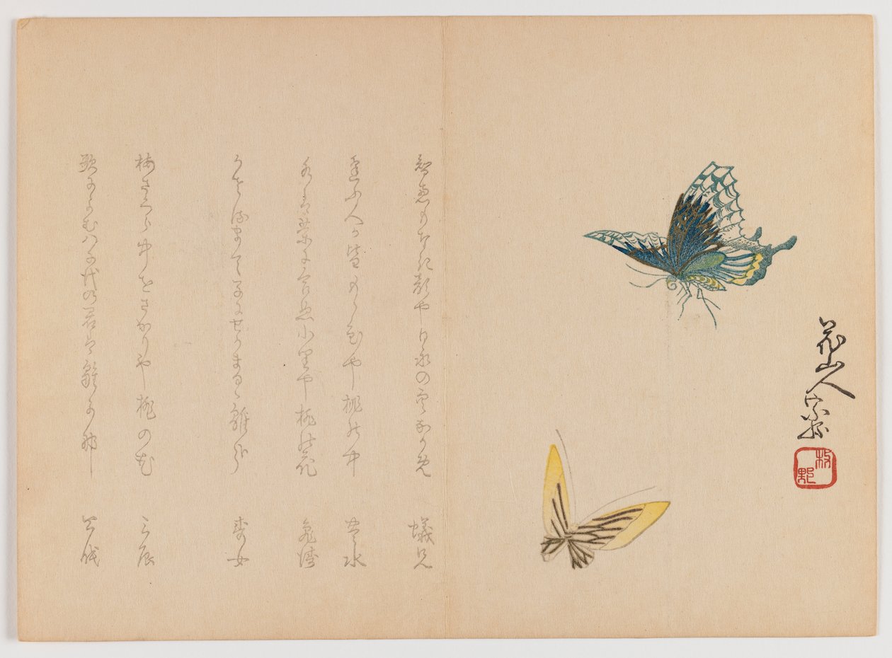 Duas borboletas, c.1860 (impressão em xilogravura, formato horizontal Chûban yoko-e) de Japanese School