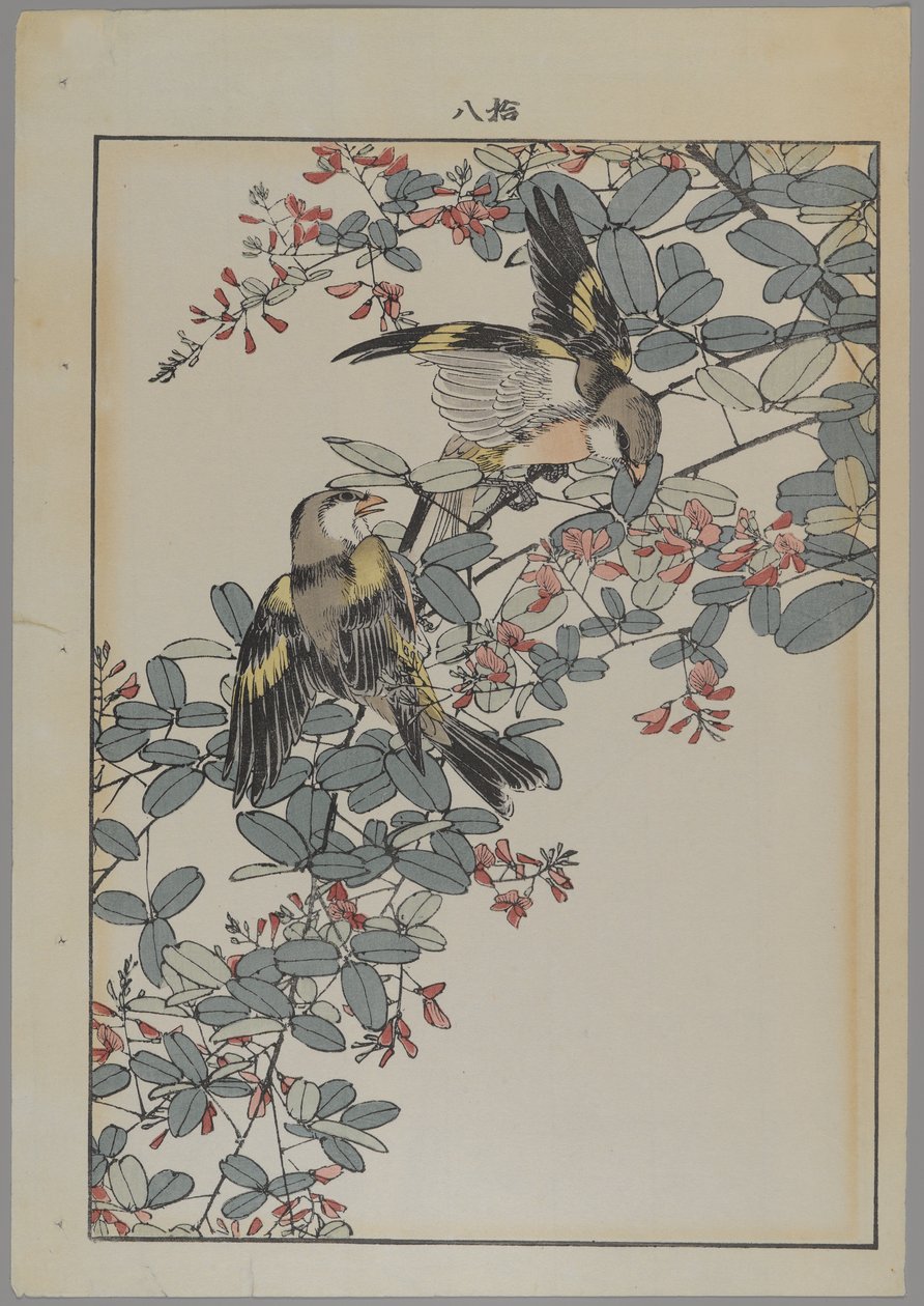 Dois pássaros com flores rosa, período Meiji, c.1868-1912 (impressão woodblock de cor) de Japanese School