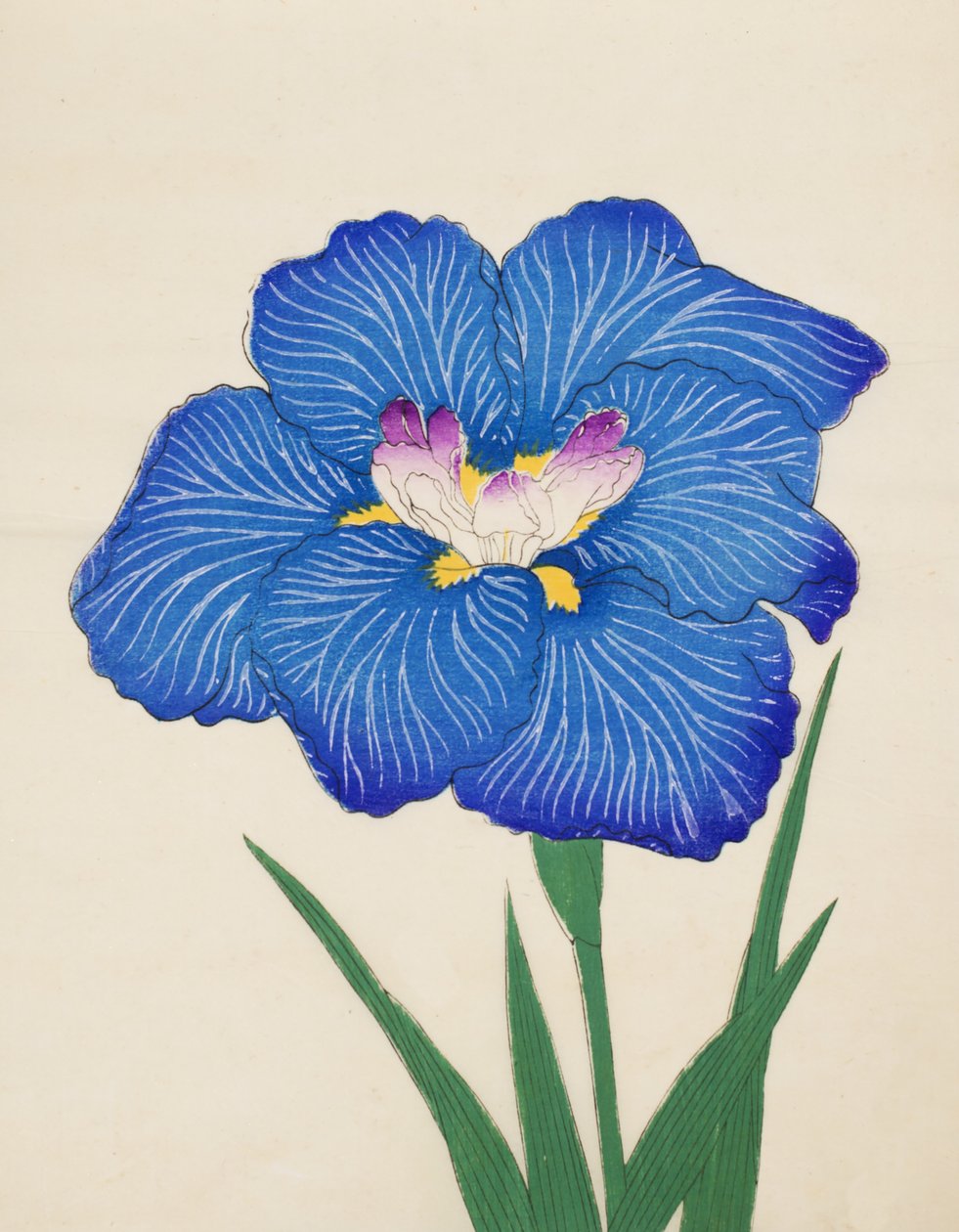 Ushio-no.-Kemuri, nº 47, 1898 de Japanese School