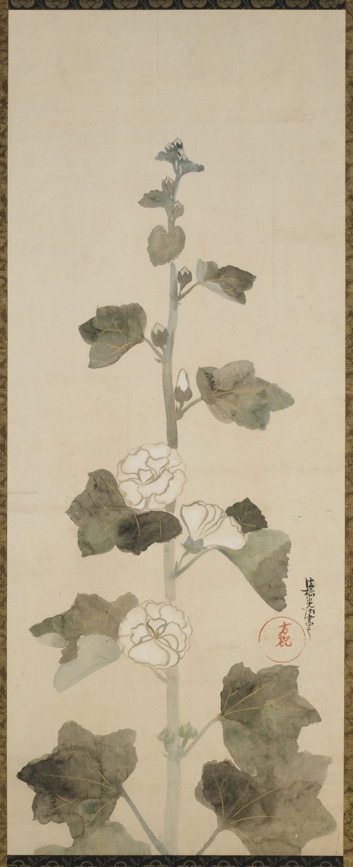 Hollyhocks brancos, período Edo, 1615-1868 (tinta, tonalidade e ouro no papel) de Japanese School