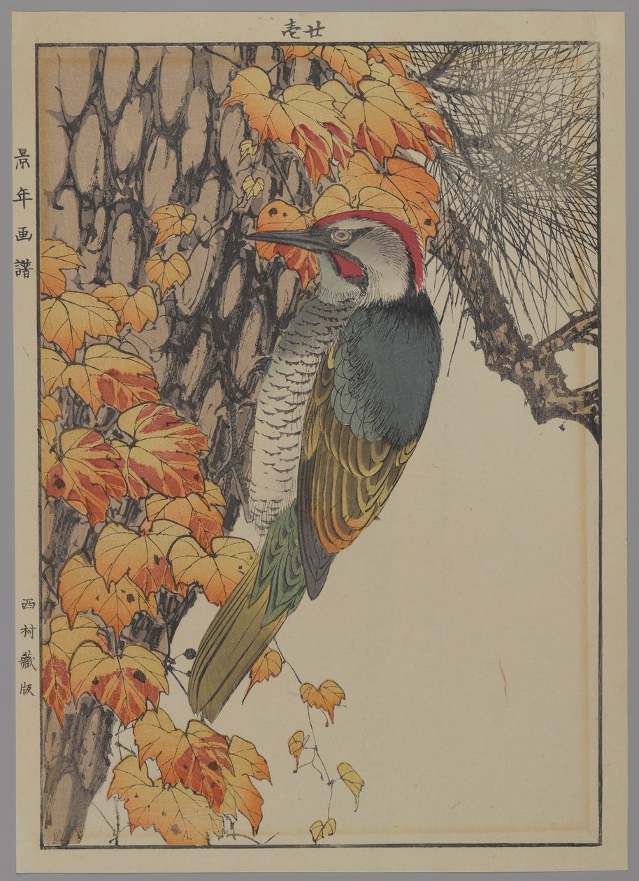 Pica-pau, 1892 (impressão de woodblock de cor) de Japanese School