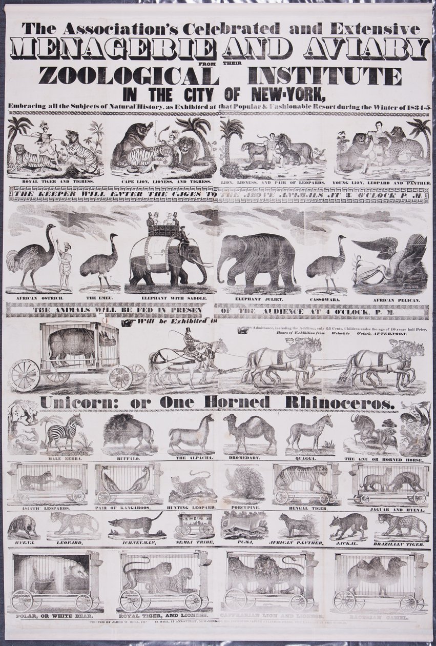 A Associação Celebrated and Extensive Menagerie and Aviary do seu Instituto Zoológico na cidade de Nova Iorque de Jared W. Bell