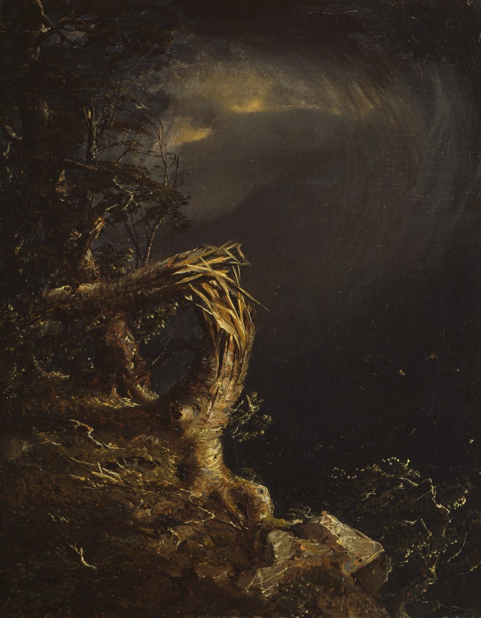 Maldita árvore, 1850. de Jasper Francis Cropsey
