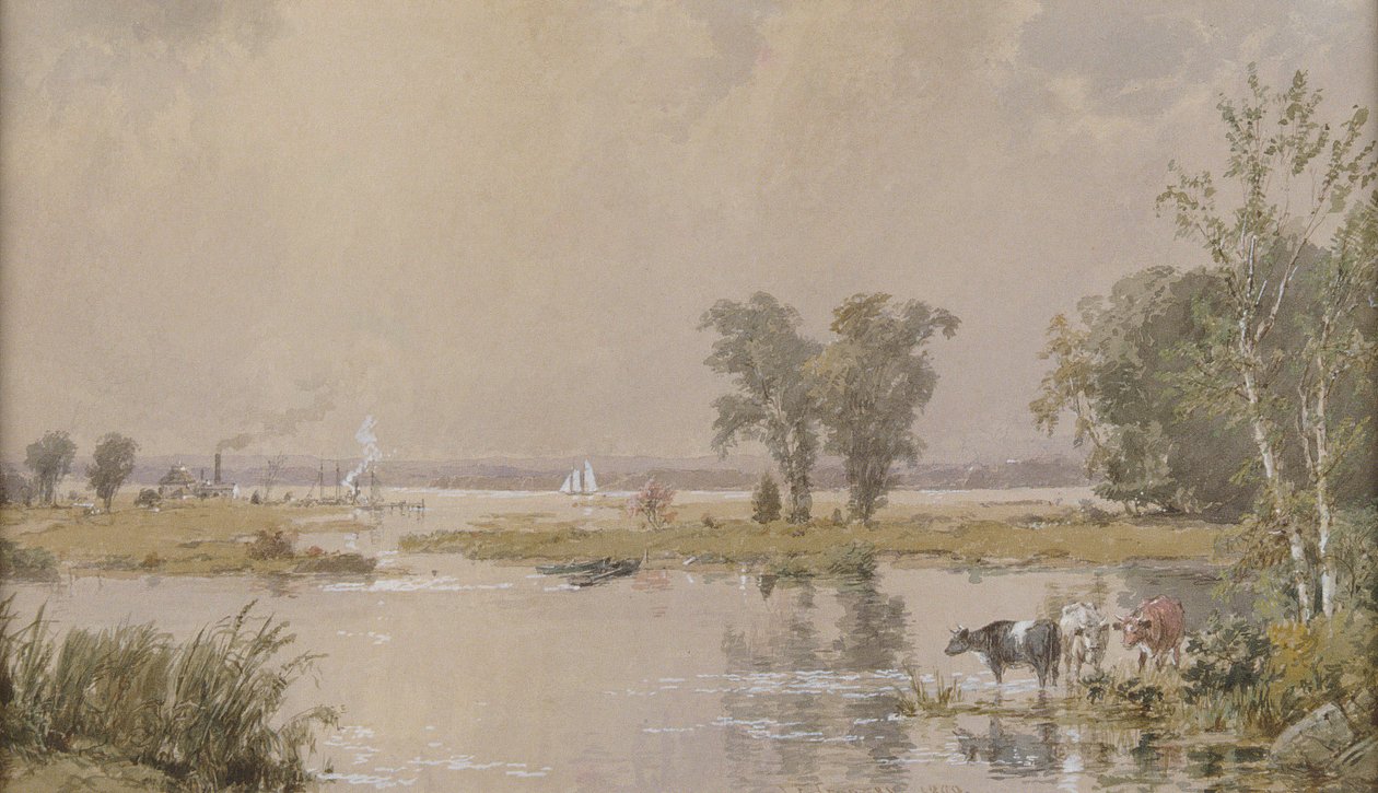 Hackensack Meadows, 1890. de Jasper Francis Cropsey