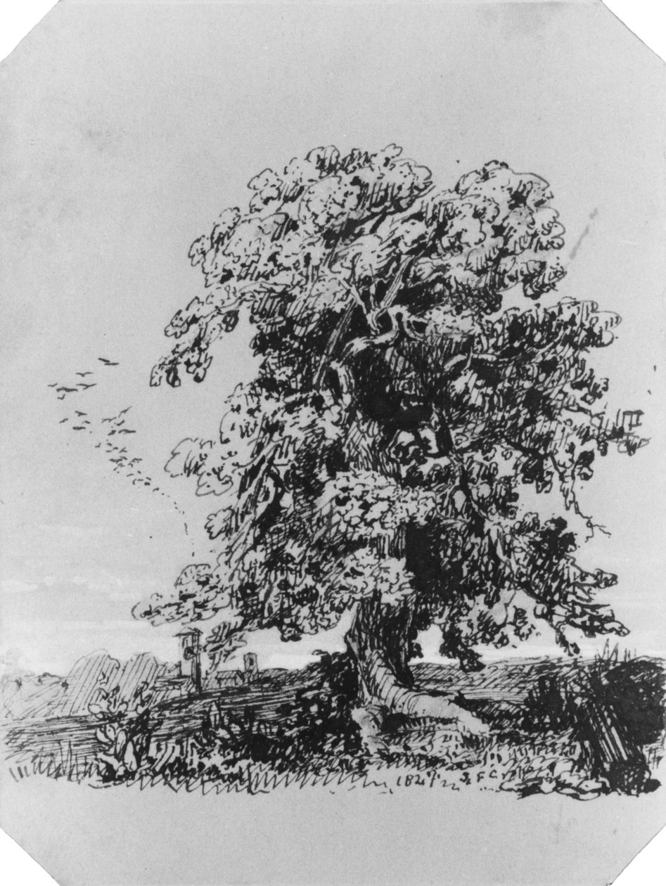 Paisagem com árvore e uma aldeia ao longe (do álbum de Cropsey) de Jasper Francis Cropsey