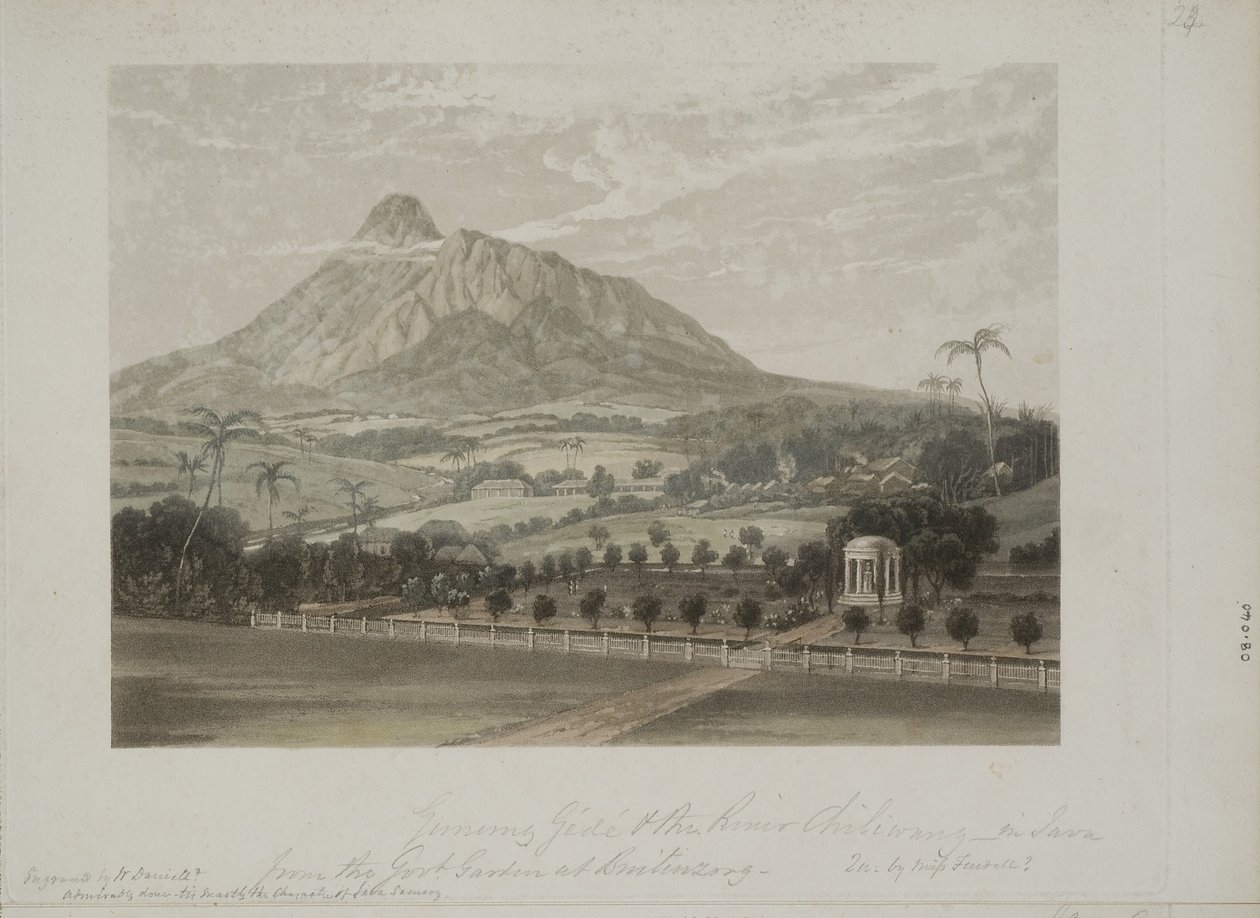 Jardim em Buitenzorg (aquatinta) de Javanese School