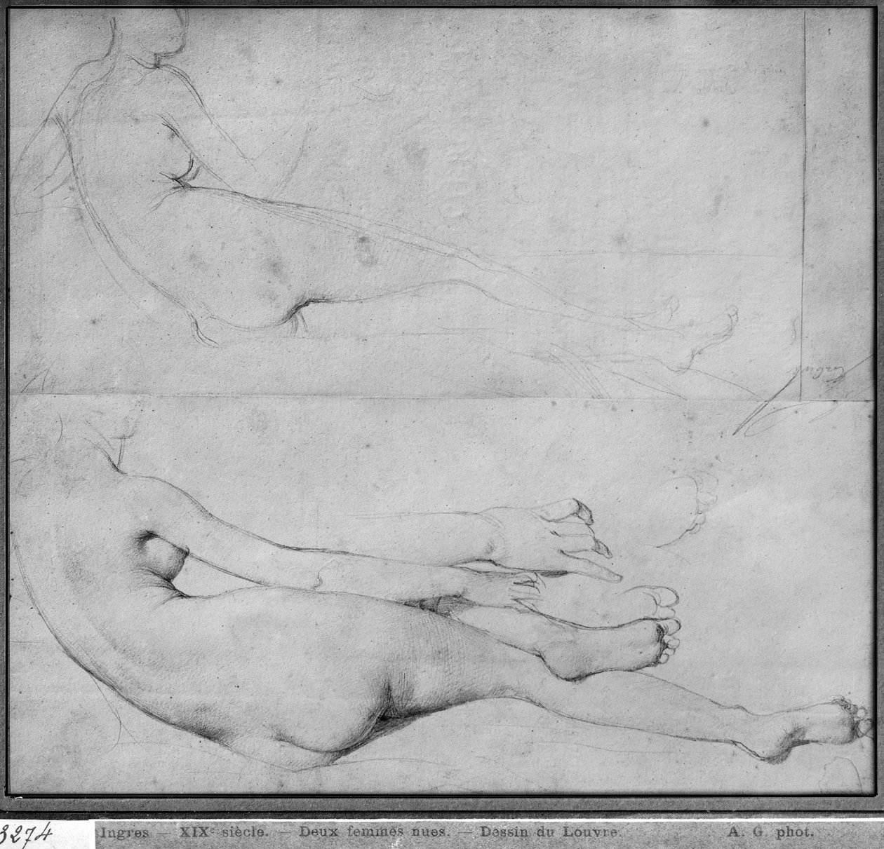 Estudos para o Grande Odalisque (grafite sobre papel) (ver também 233243) de Jean Auguste Dominique Ingres