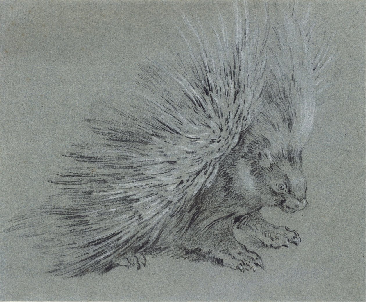 Porco-espinho de Jean Baptiste Oudry
