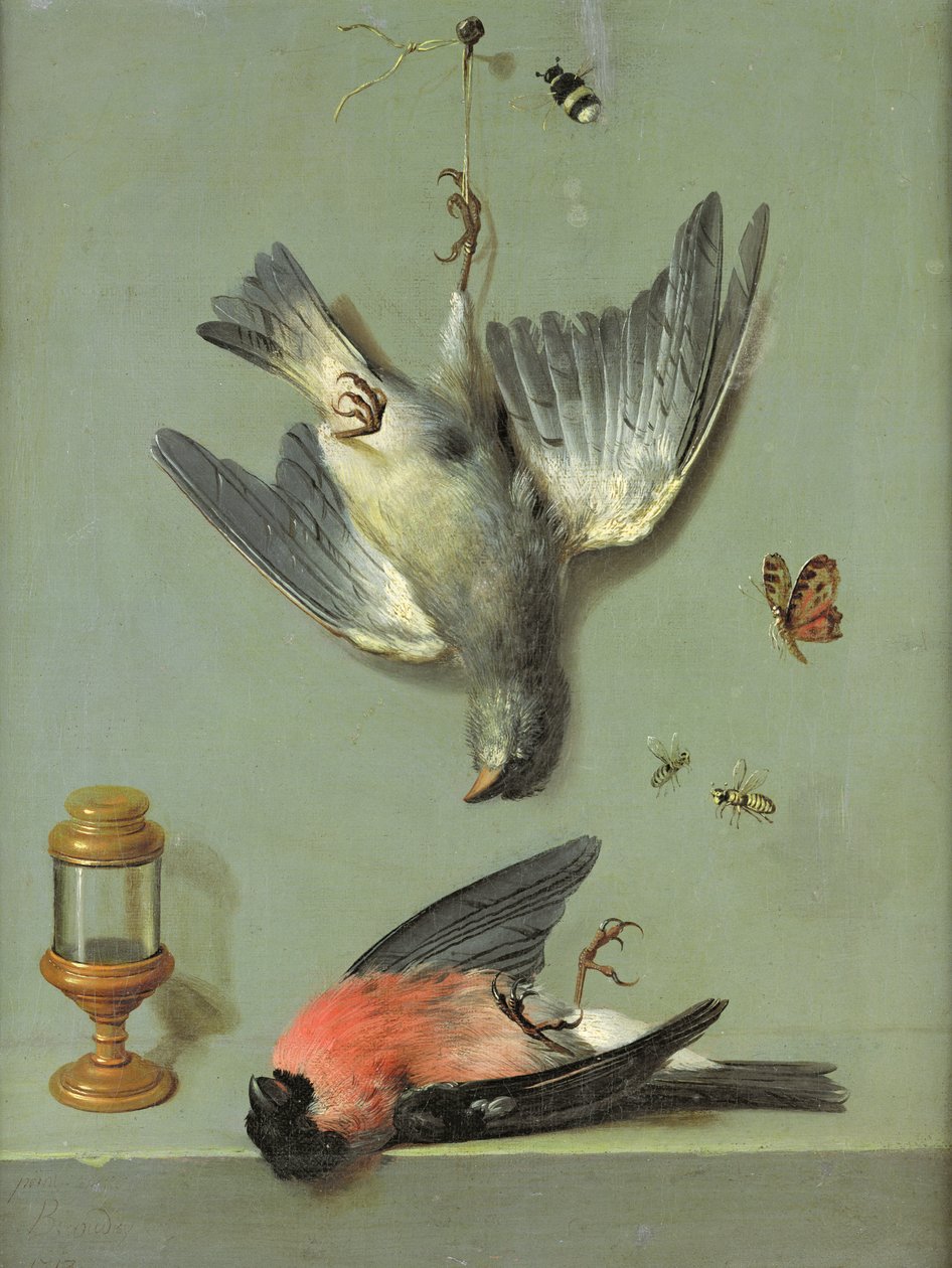 Ainda vida com pássaros e insetos, 1713 de Jean Baptiste Oudry