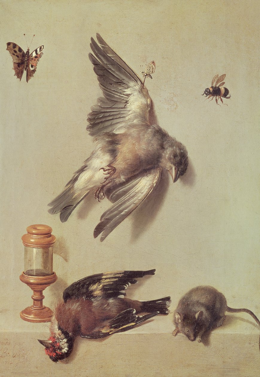Ainda vida de pássaros mortos e um rato, 1712 de Jean Baptiste Oudry