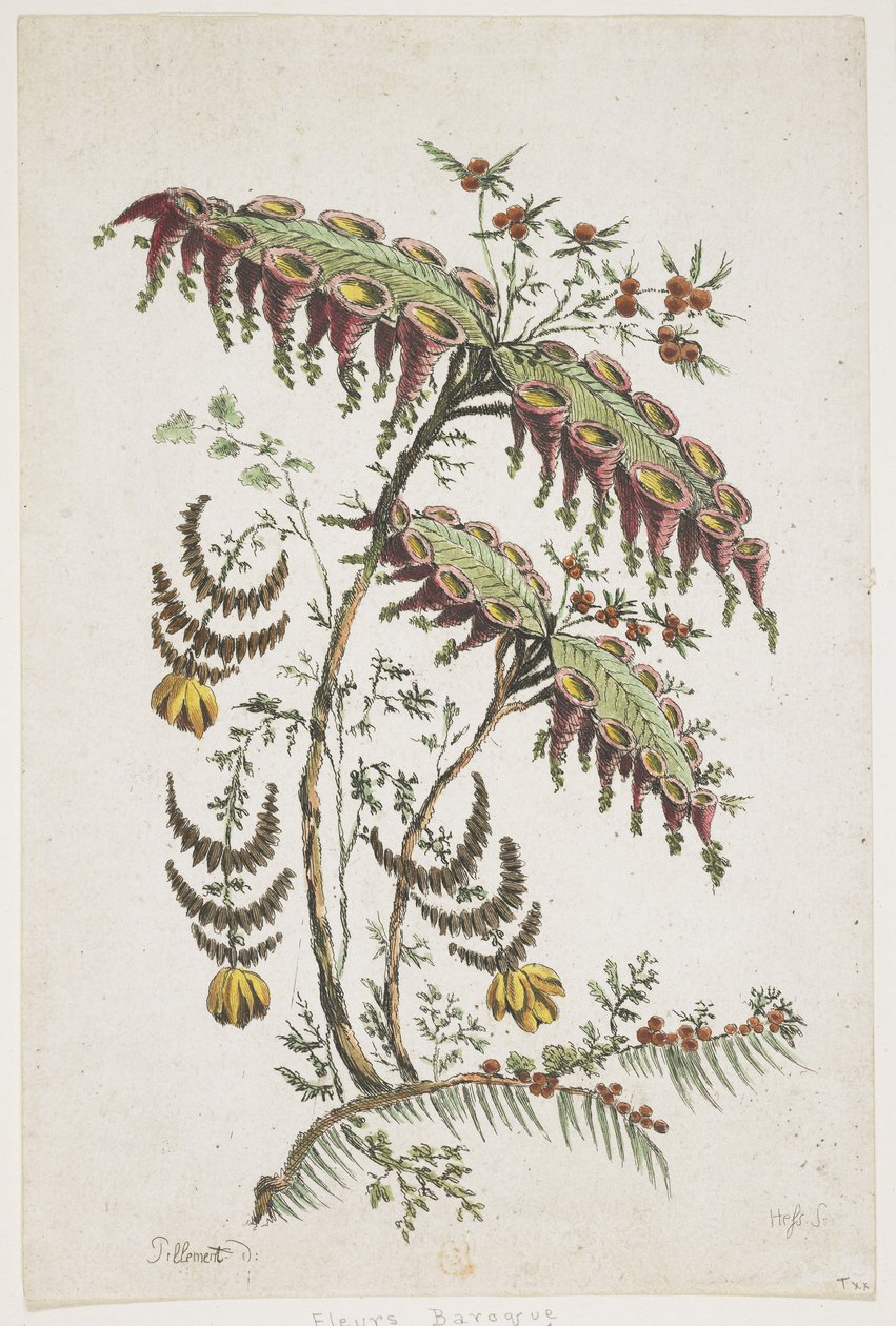 Placa De Flor. Chinoiserie. de Jean Baptiste Pillement