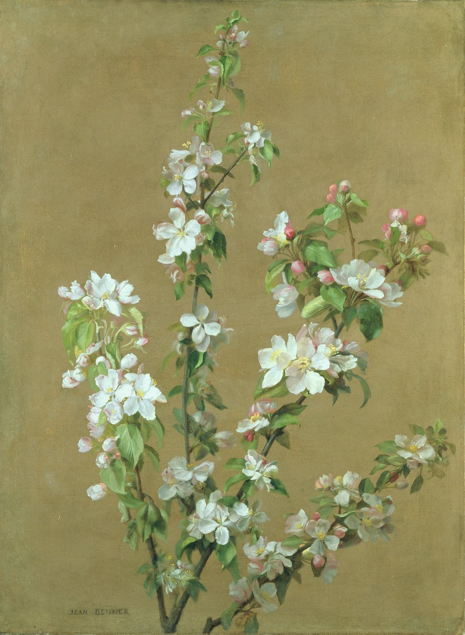Flor de maçã de Jean Benner