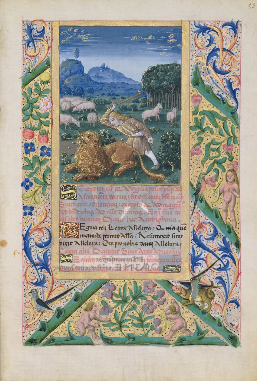 Senhora Lat. Qv126 f.53 Davi defendendo as ovelhas de seu pai contra um leão, do &39;Livro das Horas de Luís d&39;Orléans&39;, 1469 de Jean Colombe