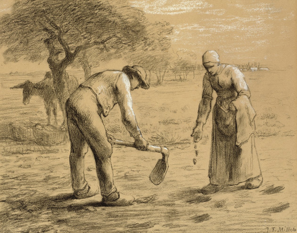Camponeses plantando batatas (lápis e giz sobre papel) de Jean Francois Millet