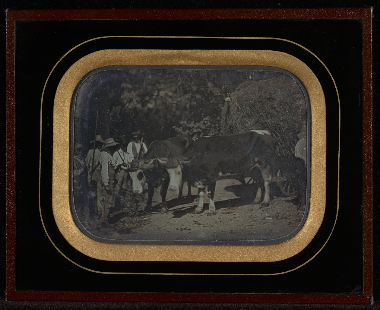(Camponeses com bois e vagões) de Jean Gabriel Eynard