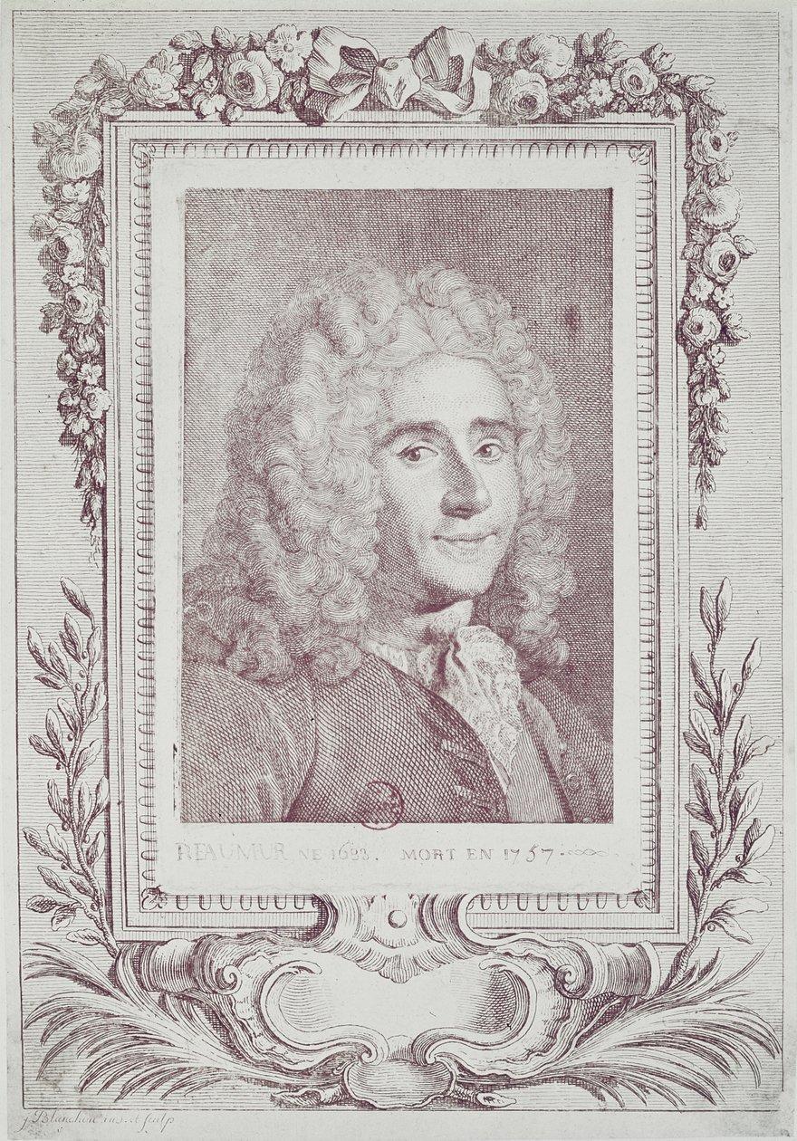 René Antoine Ferchault de Reaumur (1683-1757) de Jean Guillaume Blanchon