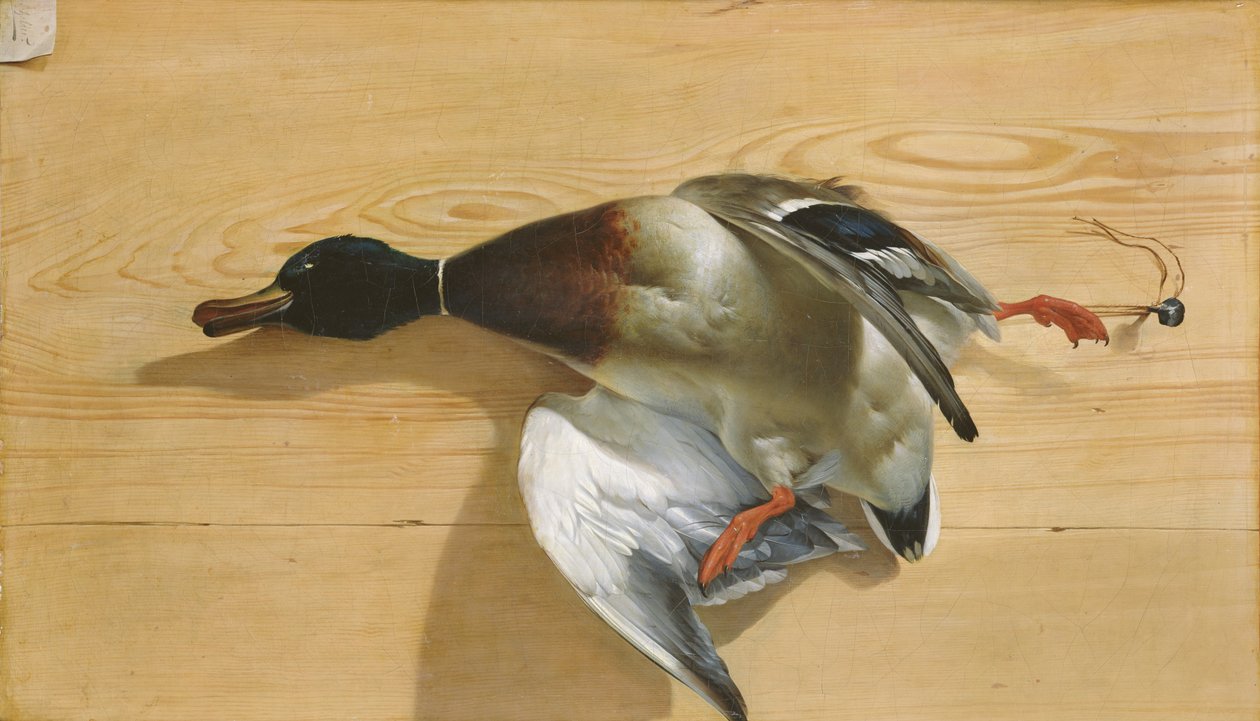 Um pato em uma placa de pinho, 1753 de Jean Jacques Bachelier