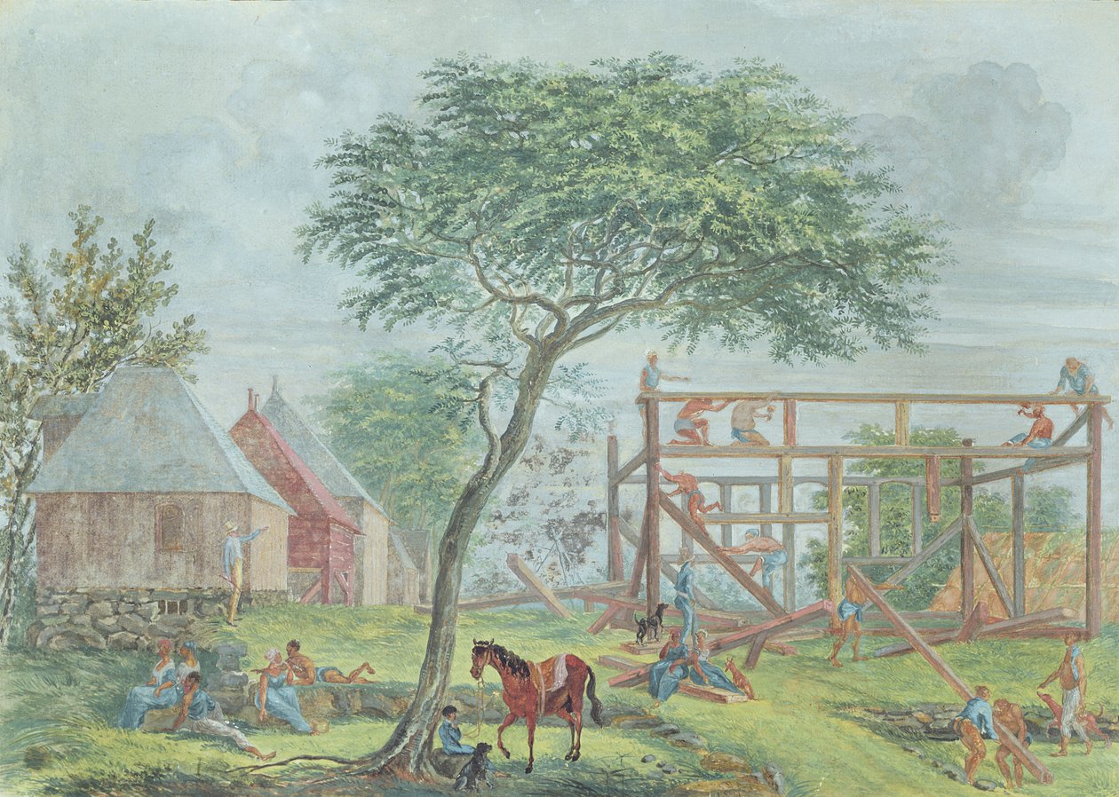 Construindo uma casa na Ile de la Reunion, c.1810-15 de Jean Joseph Patu de Rosemont