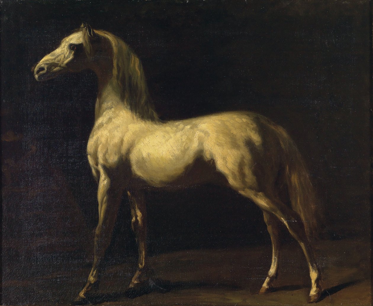 Um cavalo de pé de Theodore Gericault