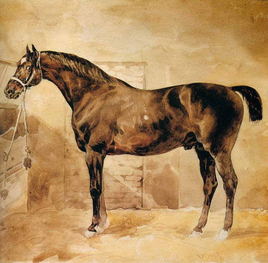 Cavalo inglês no estábulo de Theodore Gericault
