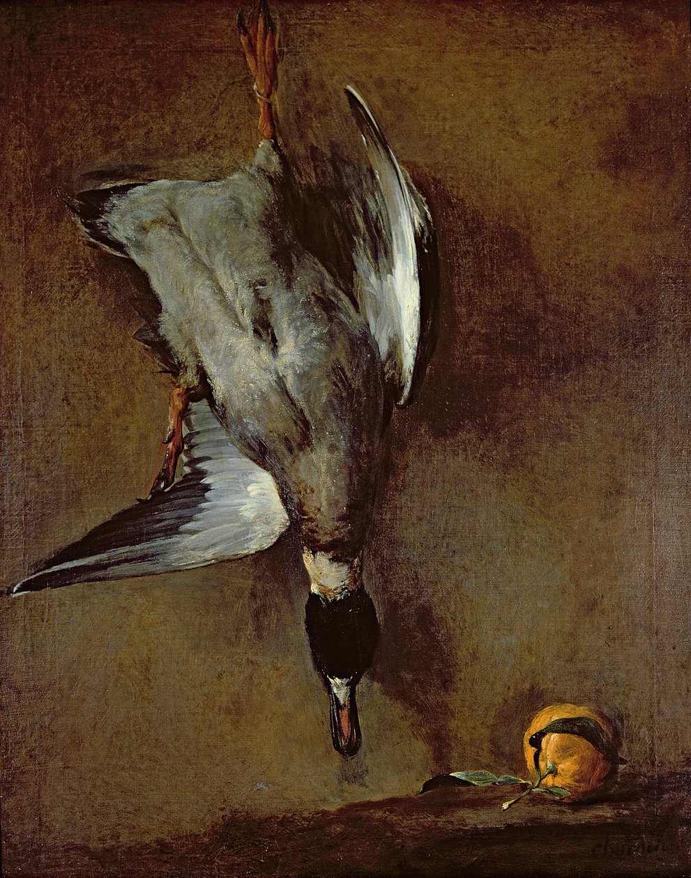 Um pato-real pendurado em uma parede com uma laranja de Sevilha, 1720-30 óleo n tela) de Jean Baptiste Simeon Chardin