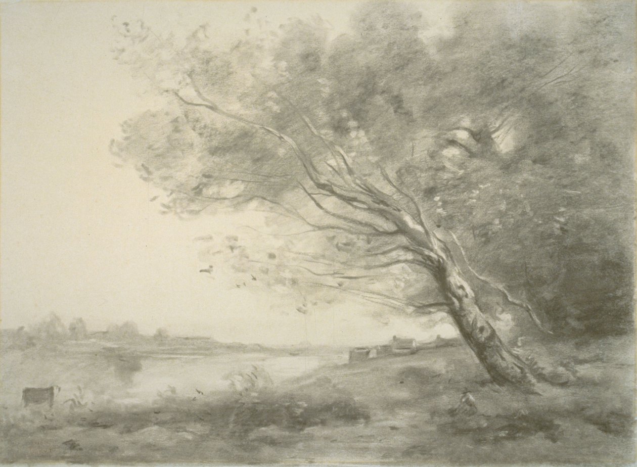 Árvore dobrada pela água de Jean-Baptiste-Camille Corot